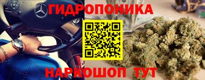 мяу мяу мука Камышлов