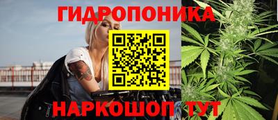 ECSTASY Кандалакша