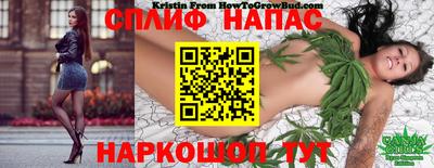 ECSTASY Кандалакша
