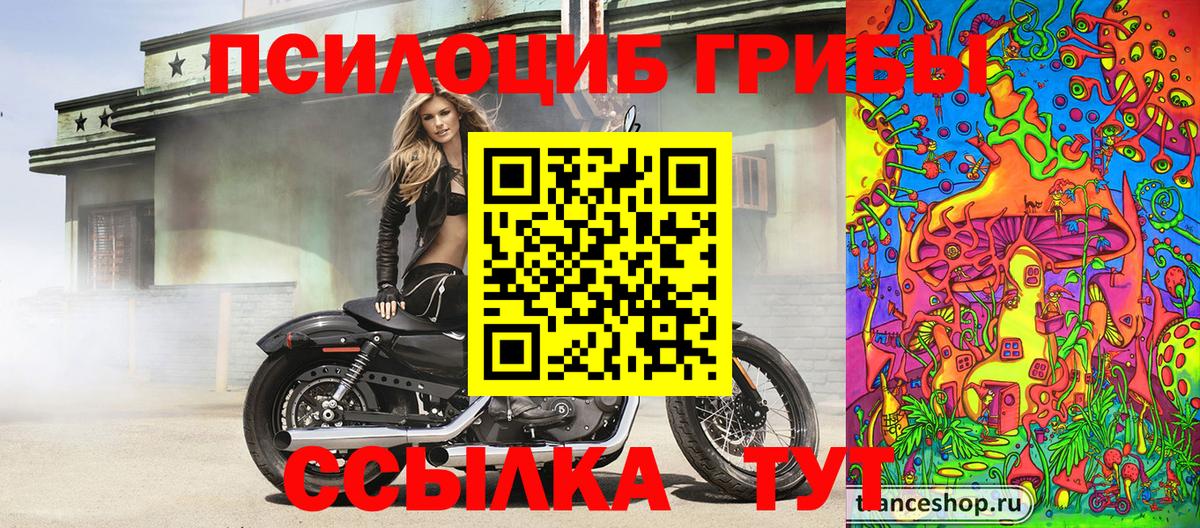 Псилоцибиновые грибы Psilocybine cubensis  цена   Буйнакск  Вход с VPN  Псилоцибиновые грибы мухоморы 